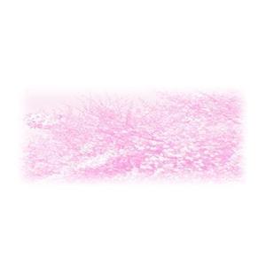 Umihikoさんの美しい自然　イラスト・または写真加工への提案