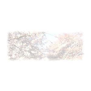Umihikoさんの美しい自然　イラスト・または写真加工への提案