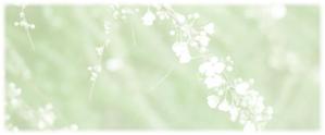DOOZ (DOOZ)さんの美しい自然　イラスト・または写真加工への提案