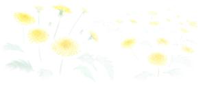 norimaki (norimaki6514)さんの美しい自然　イラスト・または写真加工への提案