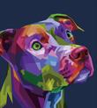dogsalon_2050_2.jpg