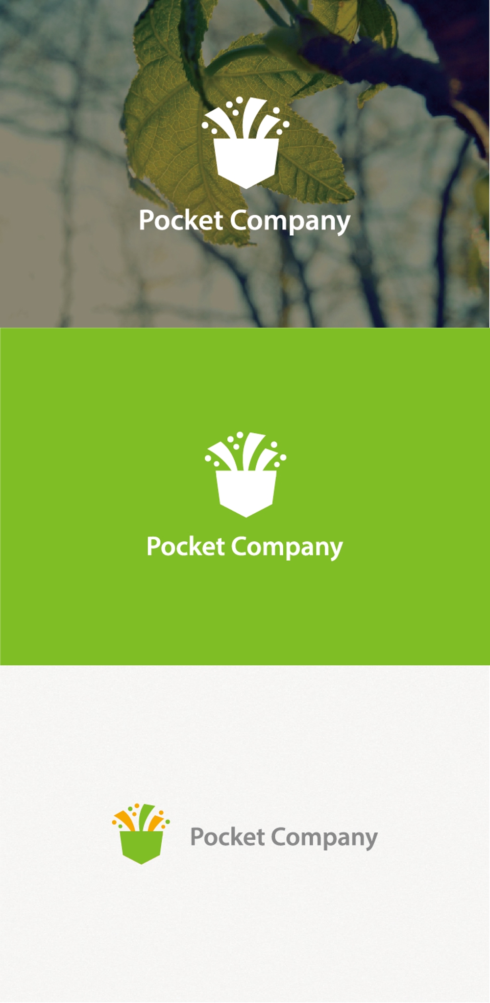 「株式会社Pocketカンパニー」のロゴ