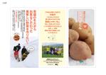 odo (design_oks)さんの雪室野菜のパンフレットデザインの依頼への提案