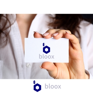 kohei (koheimax618)さんの建設不動産システムエンジニア会社　”bloox”の会社ロゴデザインへの提案