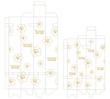 package-Phalaenopsis-orchids.jpg