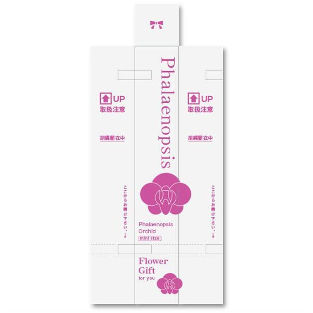 ミディ胡蝶蘭の宅配箱のデザイン