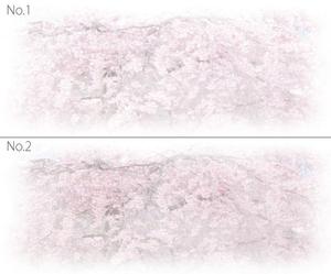 yamato_no_kuniさんの美しい自然　イラスト・または写真加工【桜】への提案
