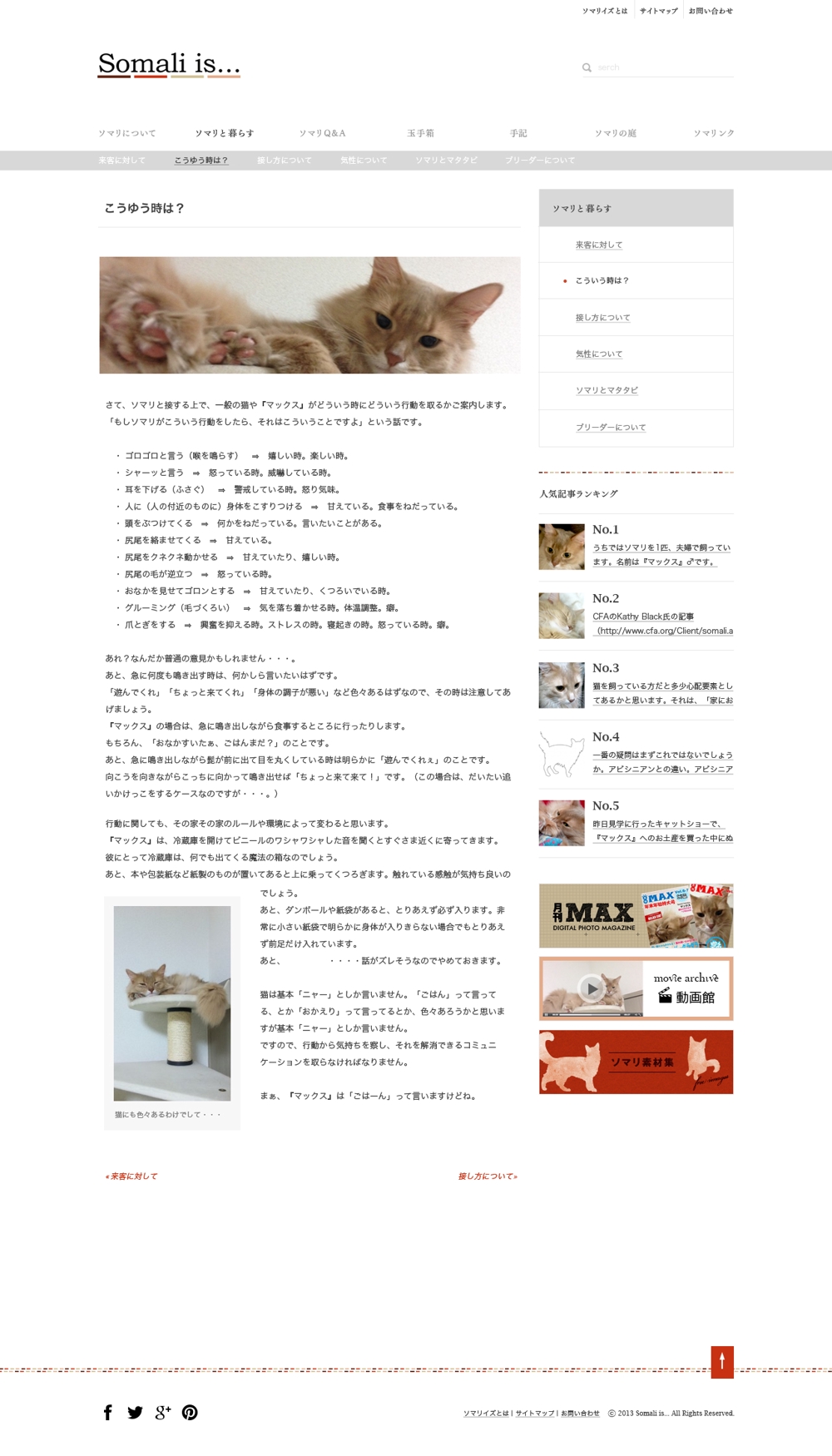 猫（ソマリ）サイトのリニューアルデザイン