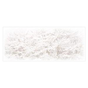 sitepocket (sitepocket)さんの美しい自然　イラスト・または写真加工【桜】への提案
