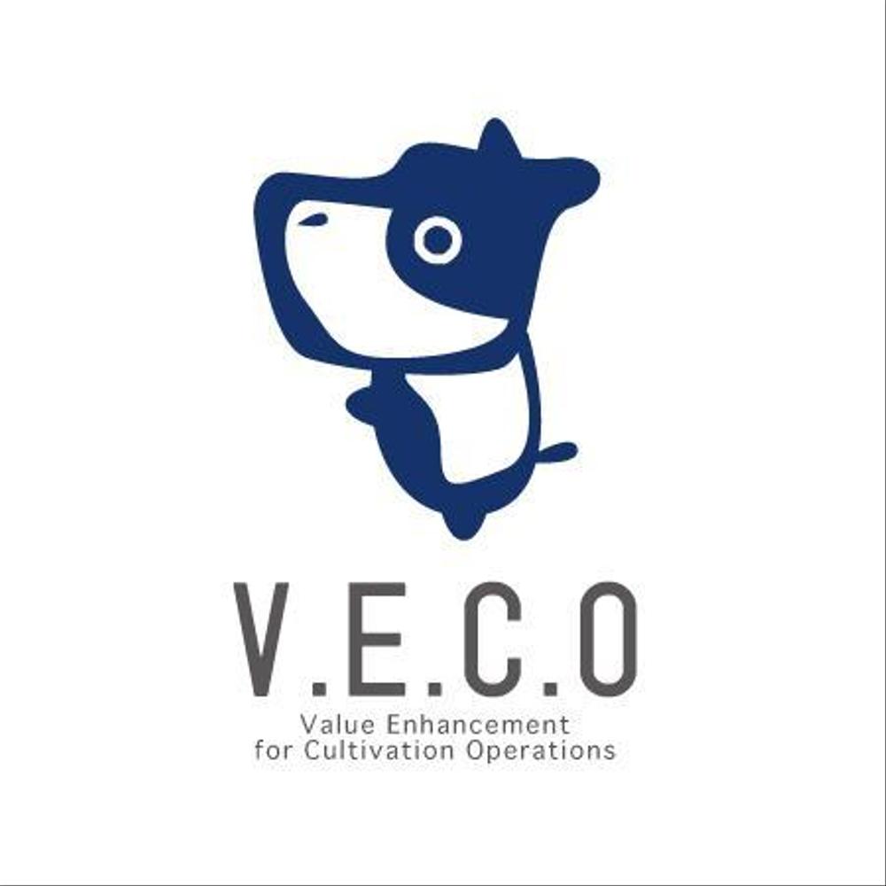 veco01.jpg