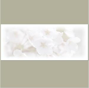 M-Masatoさんの美しい自然　イラスト・または写真加工【桜】への提案