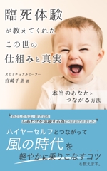 山崎 すみれ (sumireiro-seisaku)さんの電子書籍の表紙デザインをお願いします。への提案