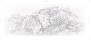 ＢＬＡＺＥ (blaze_seki)さんの美しい自然　イラスト・または写真加工【桜】への提案