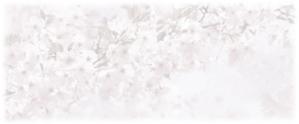 takenonさんの美しい自然　イラスト・または写真加工【桜】への提案