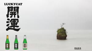 角田ひろし (Hiroshi_Tsunoda)さんの招き猫日本酒ラベルデザインへの提案
