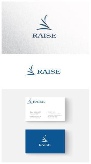 ainogin (ainogin)さんの情報配信サービス「RAISE」のロゴへの提案
