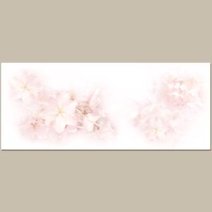 piyocoさんの美しい自然　イラスト・または写真加工【桜】への提案
