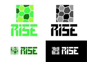 小南真由美 (kominami42)さんのエクステリア施工会社「RISE」のロゴへの提案