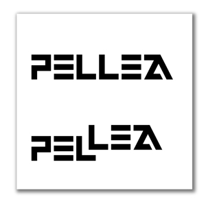 ヨンキイチ (n-morimoto)さんの革小物ブランド「PELLEZA」のロゴへの提案
