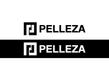 PELLEZA-02.jpg