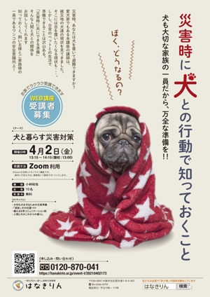 cogaDN (cogaDN)さんのはなきりん　ＷＥＢ講座にて開催「犬と暮らす災害対策」　デザインチラシへの提案