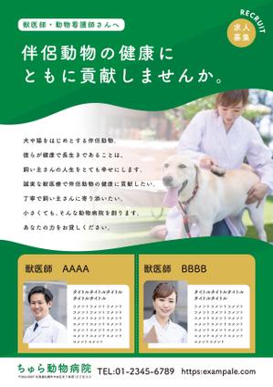 Write Story (tp-igarashi)さんの動物病院の求人チラシ作成への提案