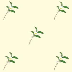 nona_bowさんのお茶の花のデザインへの提案