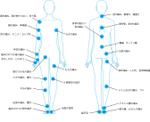 CUBE (cube1)さんの整形外科で利用する体の症状を説明するイラストへの提案