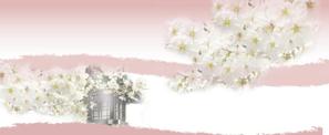 hiro-sakuraさんの美しい自然　イラスト・または写真加工【桜】への提案