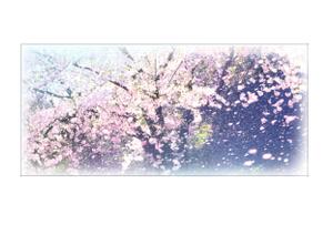 ki-mi  (ki2116)さんの美しい自然　イラスト・または写真加工【桜】への提案