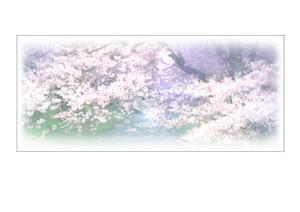 ki-mi  (ki2116)さんの美しい自然　イラスト・または写真加工【桜】への提案