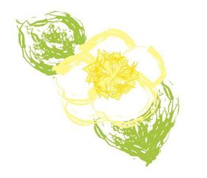 barairo_0319さんのお茶の花のデザインへの提案