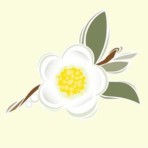 吉水 (seiwa)さんのお茶の花のデザインへの提案