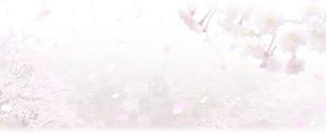 DesignStudioCHICKEN (D-chicken)さんの美しい自然　イラスト・または写真加工【桜】への提案