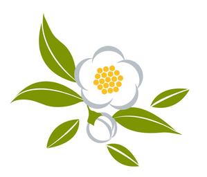 abi_sadaさんのお茶の花のデザインへの提案