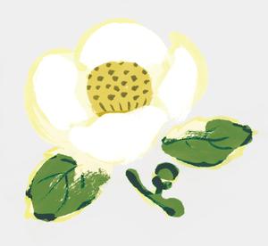 kode_02さんのお茶の花のデザインへの提案
