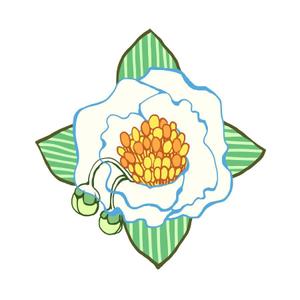 mogumoさんのお茶の花のデザインへの提案