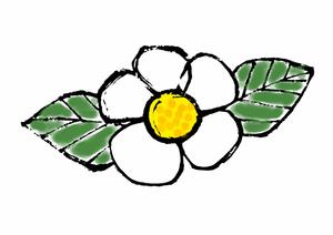 てがきや (tegakiya)さんのお茶の花のデザインへの提案
