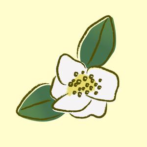 pmspbさんのお茶の花のデザインへの提案