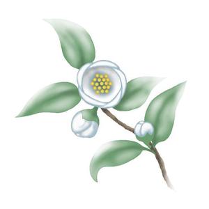 abi_sadaさんのお茶の花のデザインへの提案
