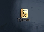 sriracha (sriracha829)さんの新会社『TS株式会社』のロゴへの提案