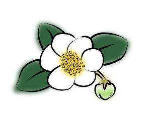 MinamiWaka (minamiwaka)さんのお茶の花のデザインへの提案