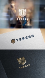 y2design (yamana_design)さんの新会社『TS株式会社』のロゴへの提案