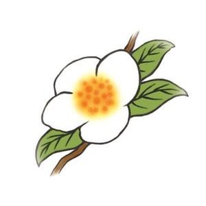 white_snowさんのお茶の花のデザインへの提案