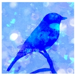 悠希 (yuruta1224)さんのパステル系の青い鳥のイラストへの提案