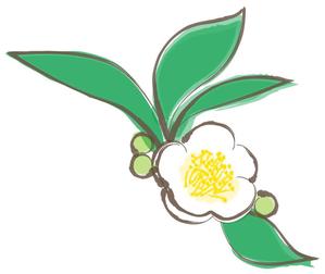 industry ()さんのお茶の花のデザインへの提案