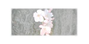 さんの美しい自然　イラスト・または写真加工【桜】への提案