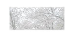 さんの美しい自然　イラスト・または写真加工【桜】への提案