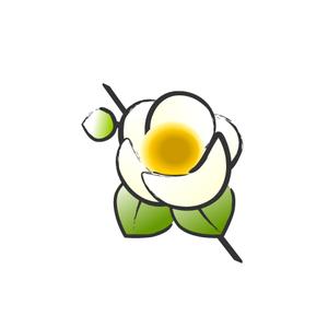Jelly (Jelly)さんのお茶の花のデザインへの提案