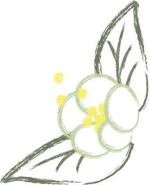 nikori517さんのお茶の花のデザインへの提案